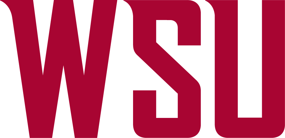 Washington State Cougars 2011-Pres Wordmark Logo v2 iron on transfers for clothing